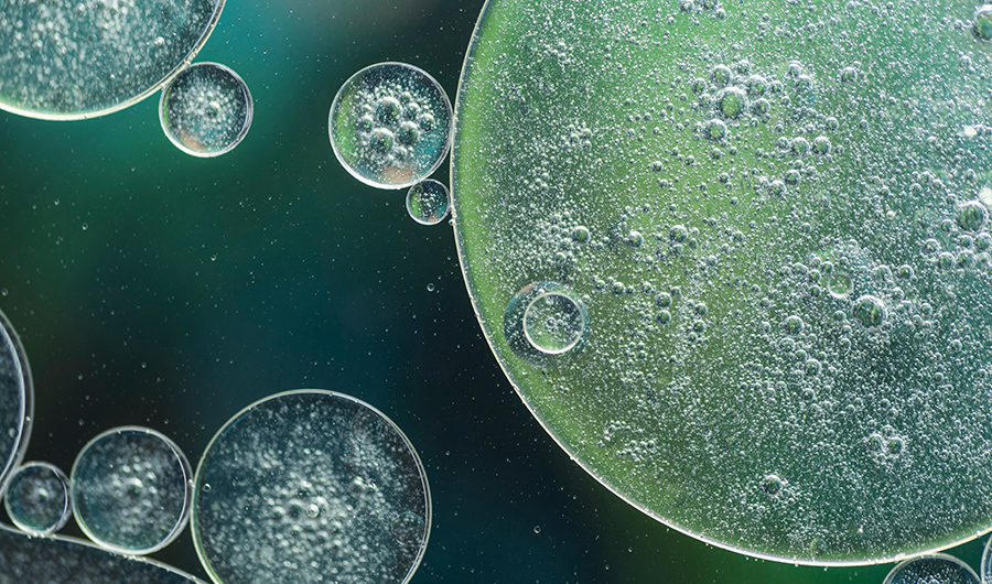 九游会J9·(china)官方网站-真人游戏第一品牌