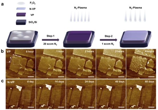 九游会J9·(china)官方网站-真人游戏第一品牌